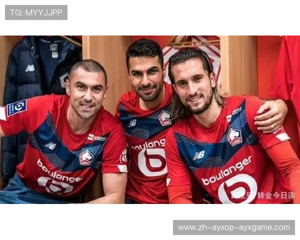 法甲外援效益分析：竞技贡献与商业价值综合考察