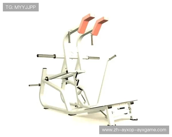 高效练腰肌必备十大健身器材推荐清单 高效练腰肌必备十大健身器材推荐清单