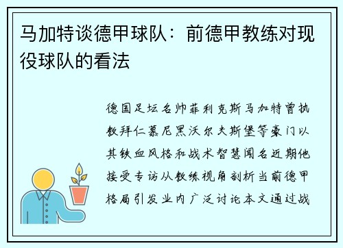 马加特谈德甲球队：前德甲教练对现役球队的看法